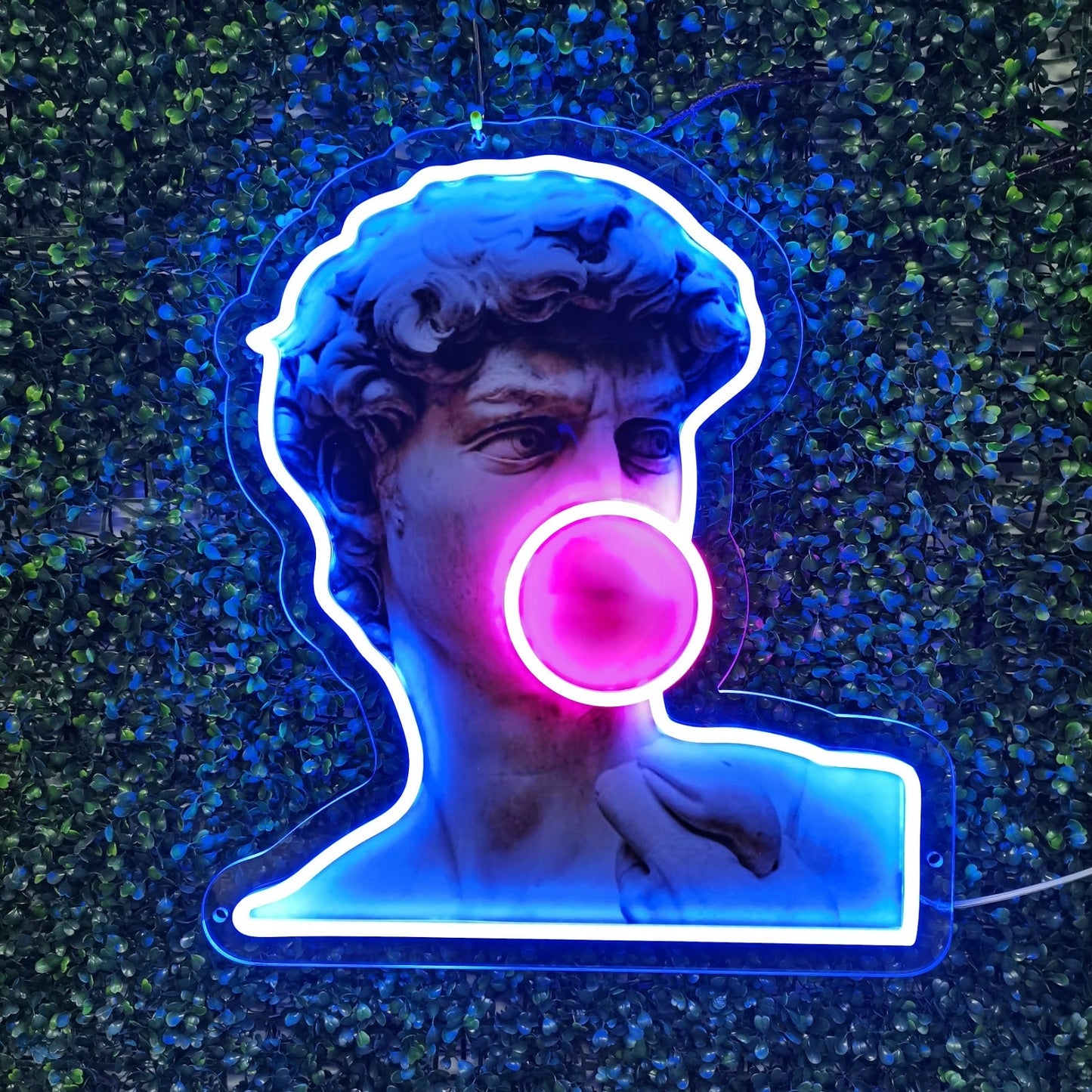 David Like Popo UV Print LED-valokyltti - The Art Neon