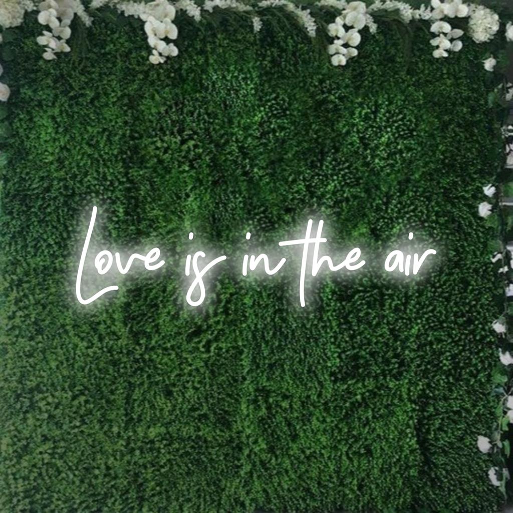 Eloisa LED-neonkyltti, joka säteilee Love Is In The Air -viestiä, sopii loistavasti hehkuvaan sisustukseen ja romanttisen tunnelman luomiseen.
