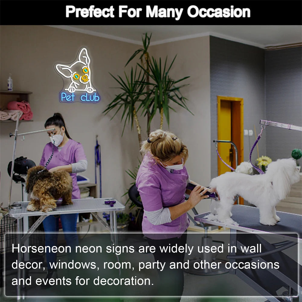 Pet Club 5V USB Led Valokyltti - Budjettivalinta