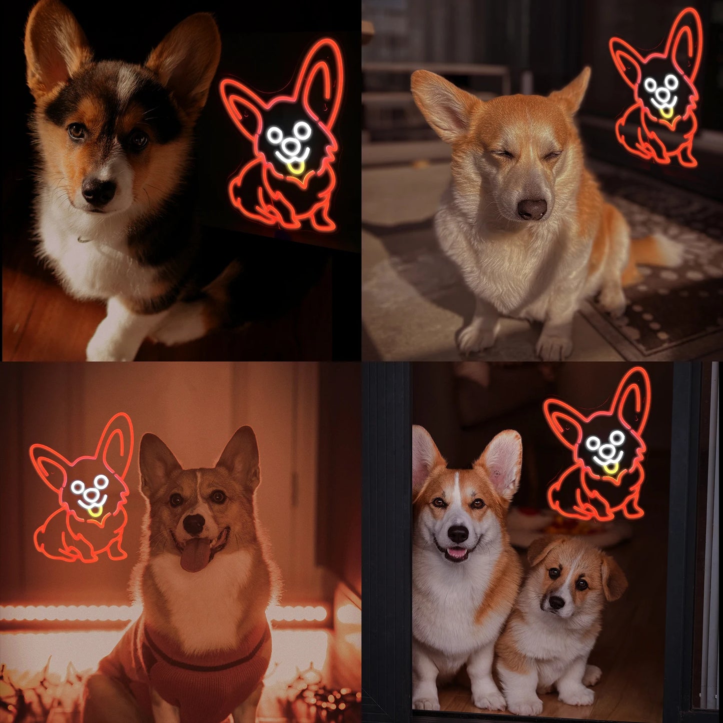 Corgi Koira Punainen 5V USB LED Neon Kyltti - Edullinen