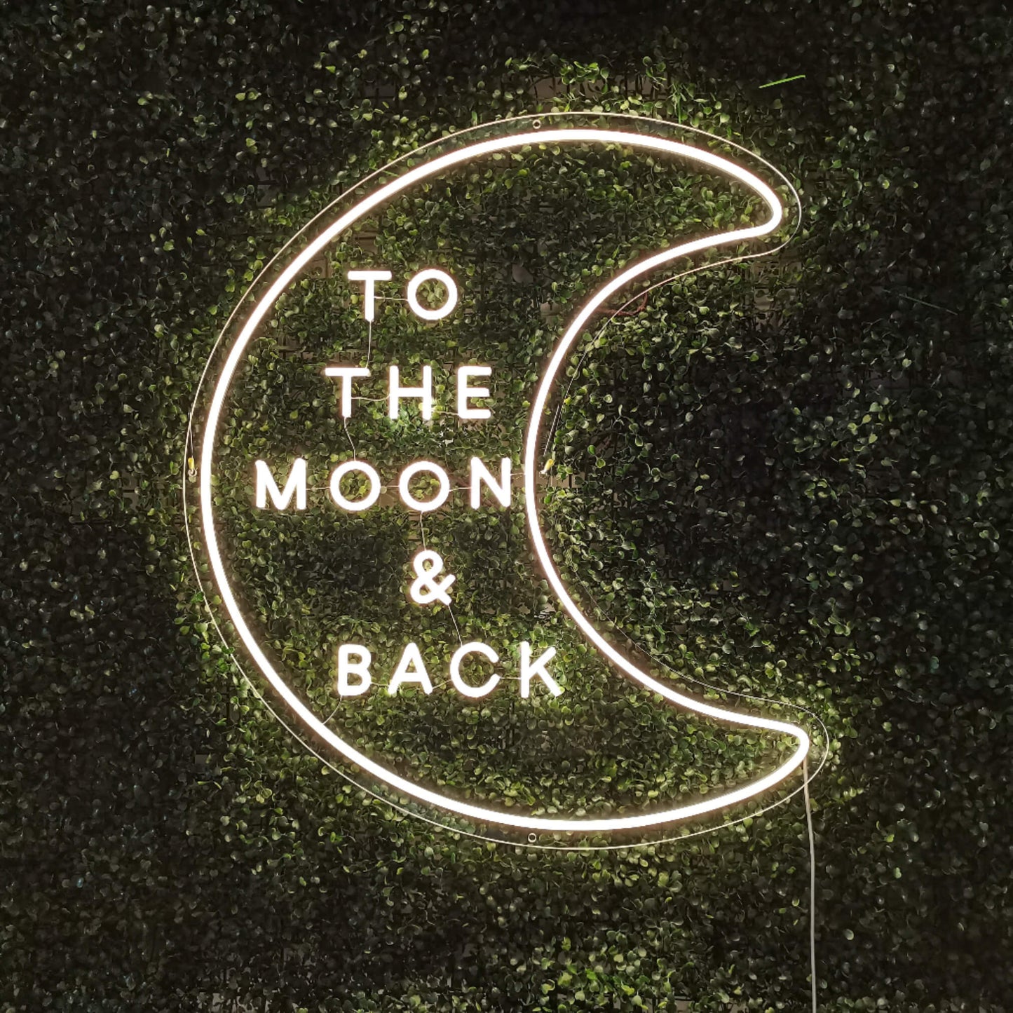 To the moon & Back Valokyltti - Art Neon