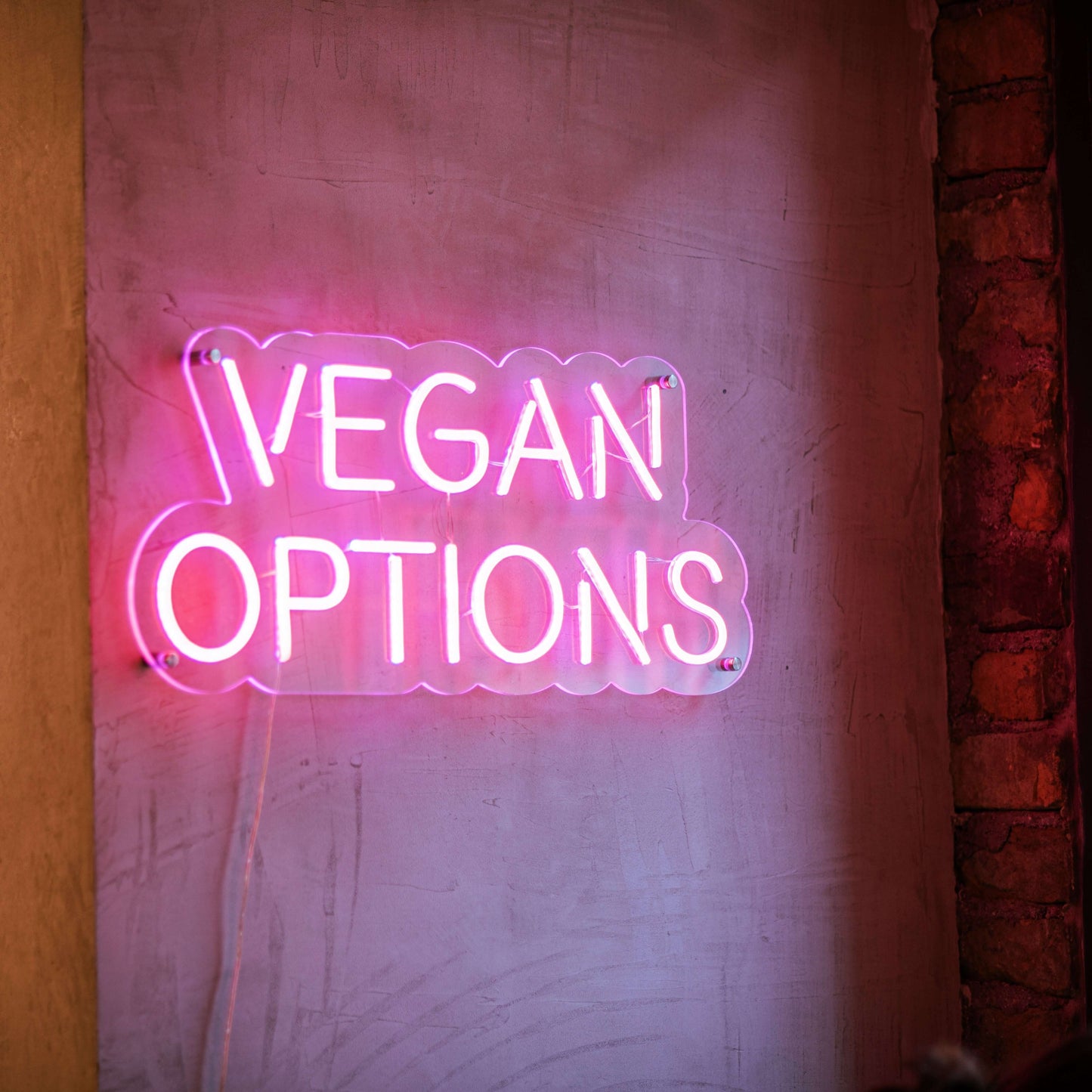Vegan Options Neon Sign - Art Neon