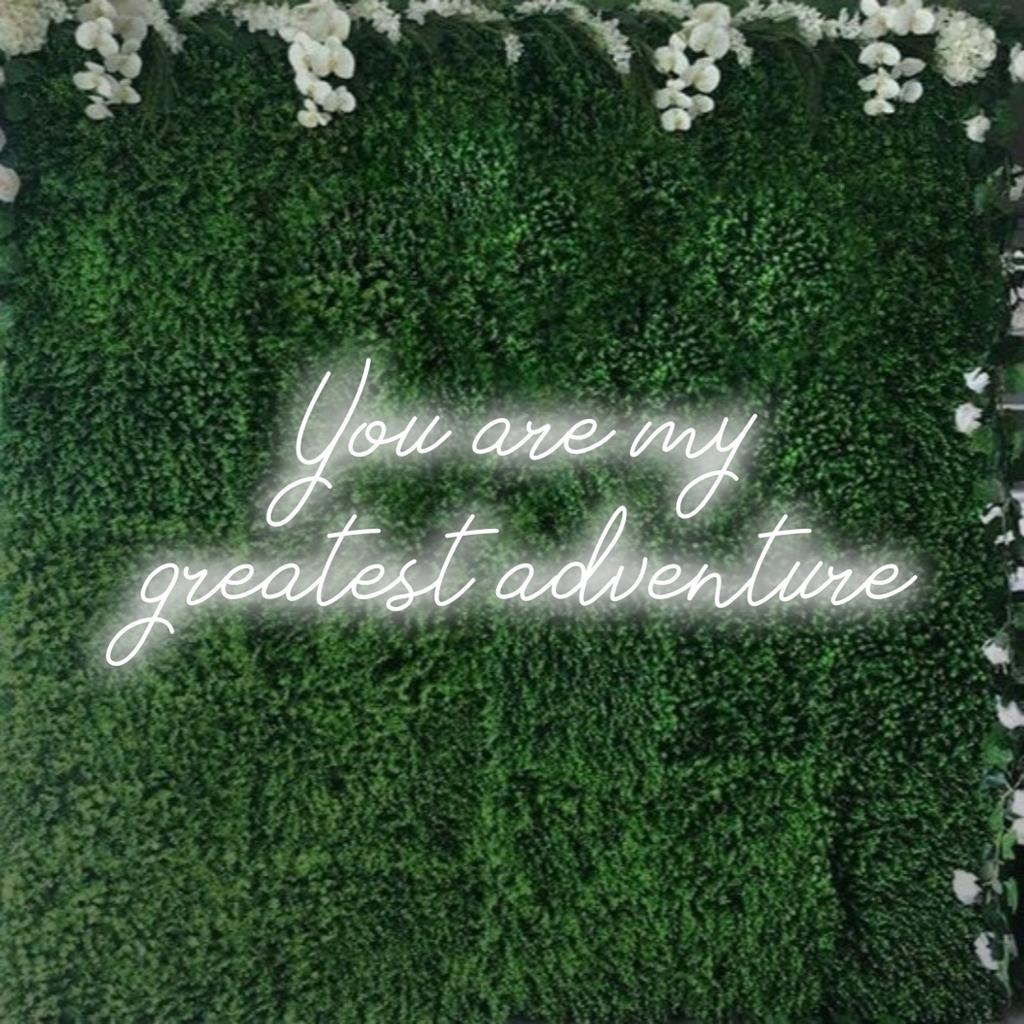 Räätälöity LED-valokyltti, jossa on lause You Are My Greatest Adventure, täydellinen yksilölliseen neon-sisustukseen.