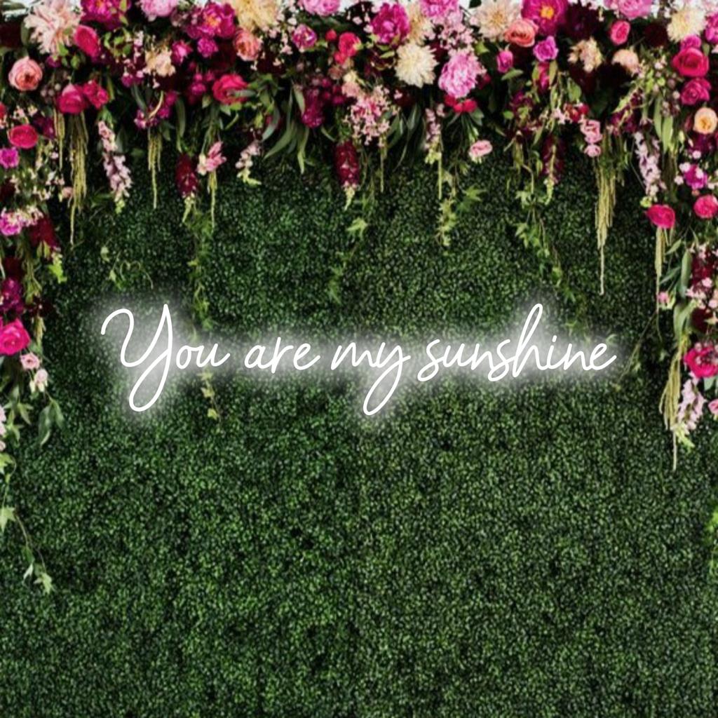 Mukautettu LED-neonkyltti, jossa lukee kirkkaan keltainen You Are My Sunshine; lisää lämmintä, persoonallista ilmettä tilaan.