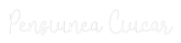 Semn Neon Personalizat: Pensiunea Ciu...
