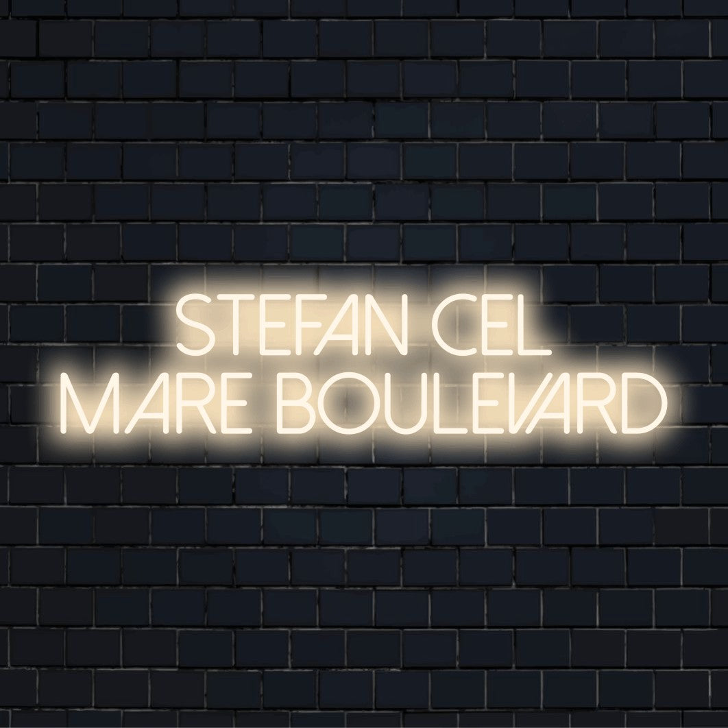 Stefan Cel Mare Boulevard Neon Sign, glowing wall decor on dark brick wall