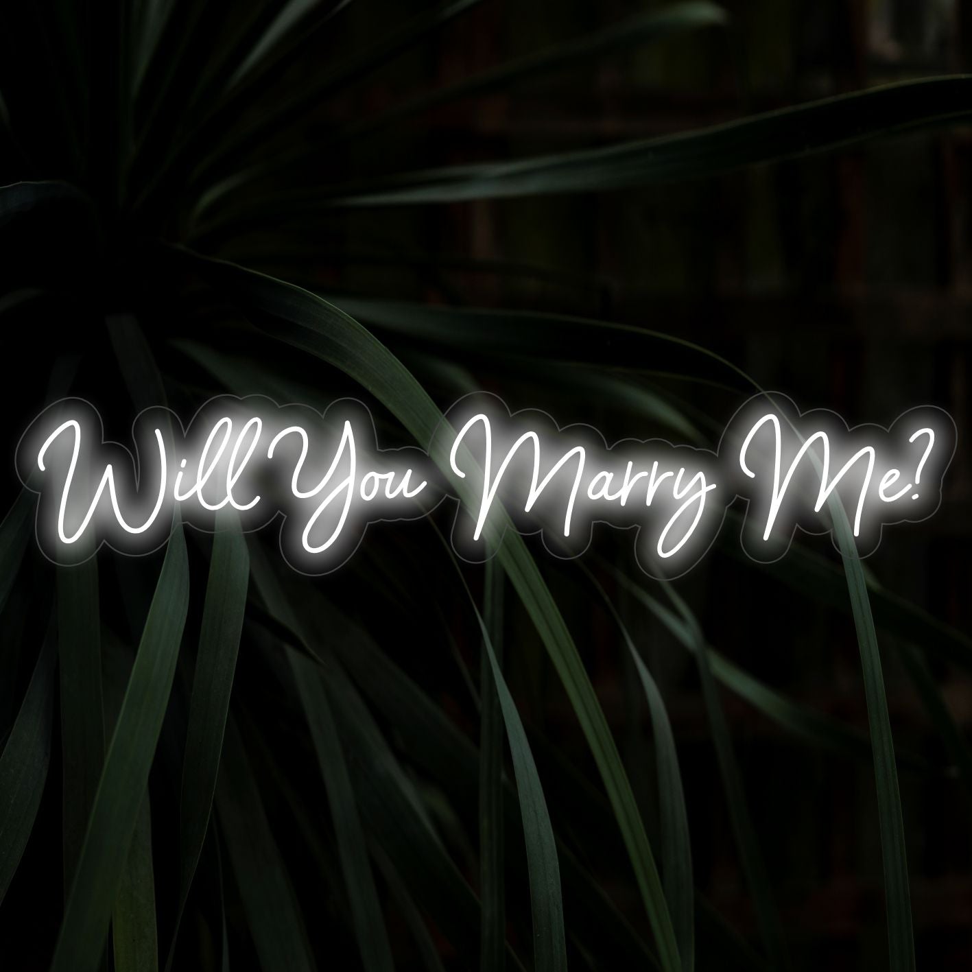 Will You Marry Me LED-valokyltti - Art Neon