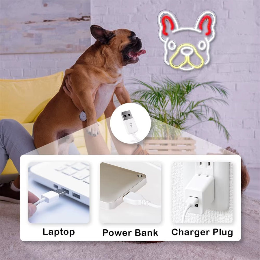 5V Affordable USB Neon Signs