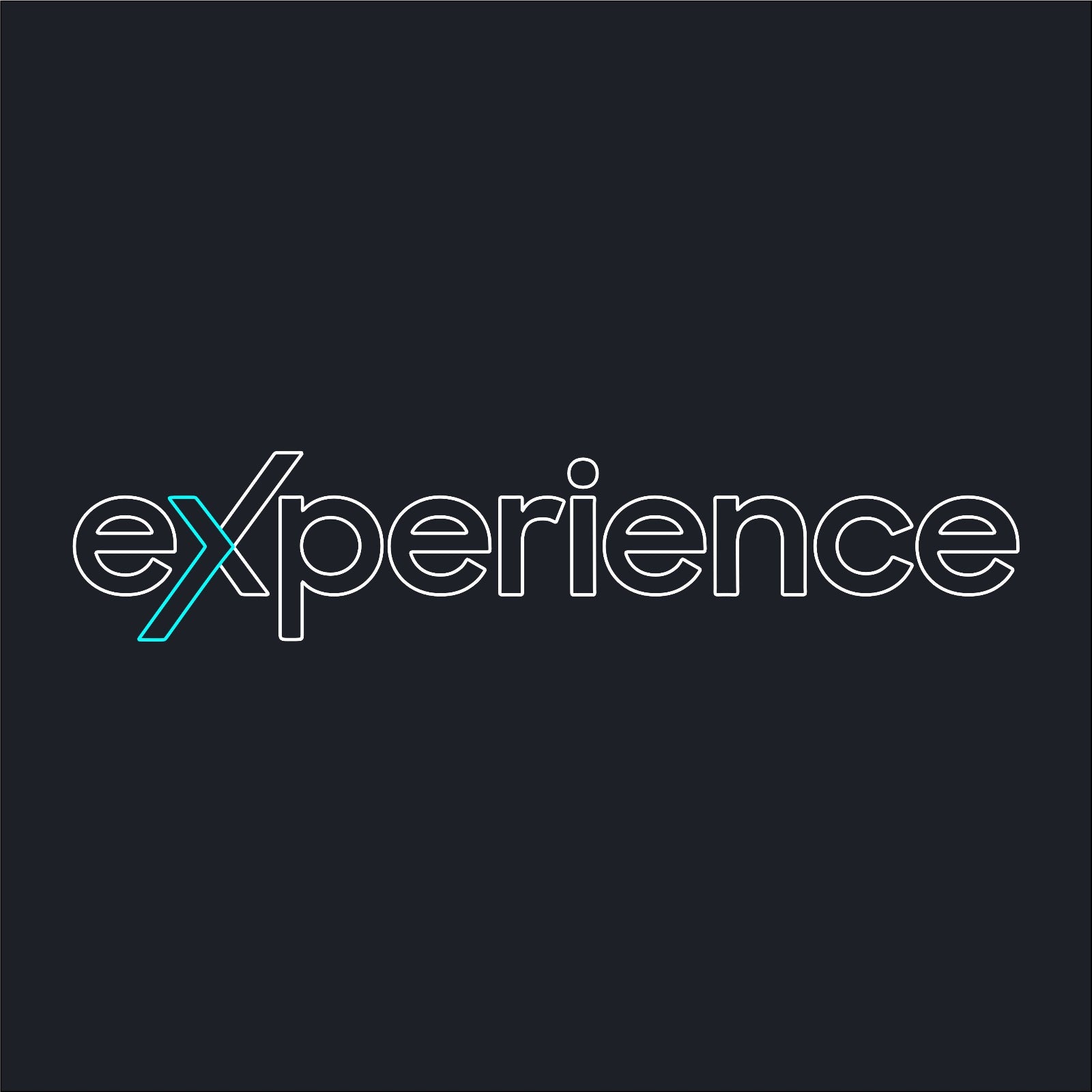 Experience Neon Sign