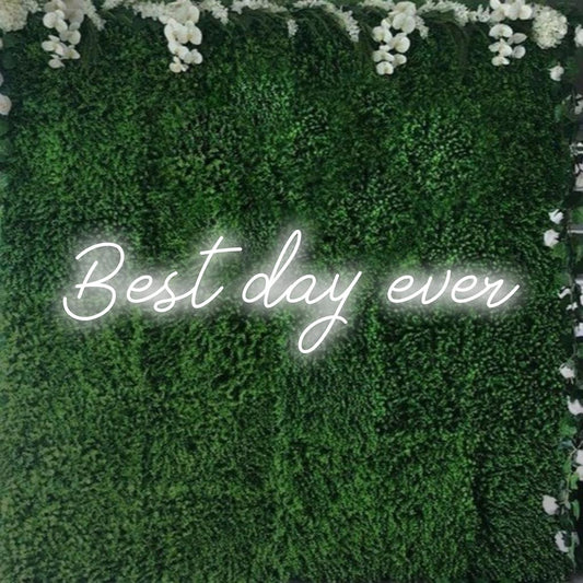 Bright Best Day Ever LED neon sign; versatile custom decor that inspires positivity and joy.