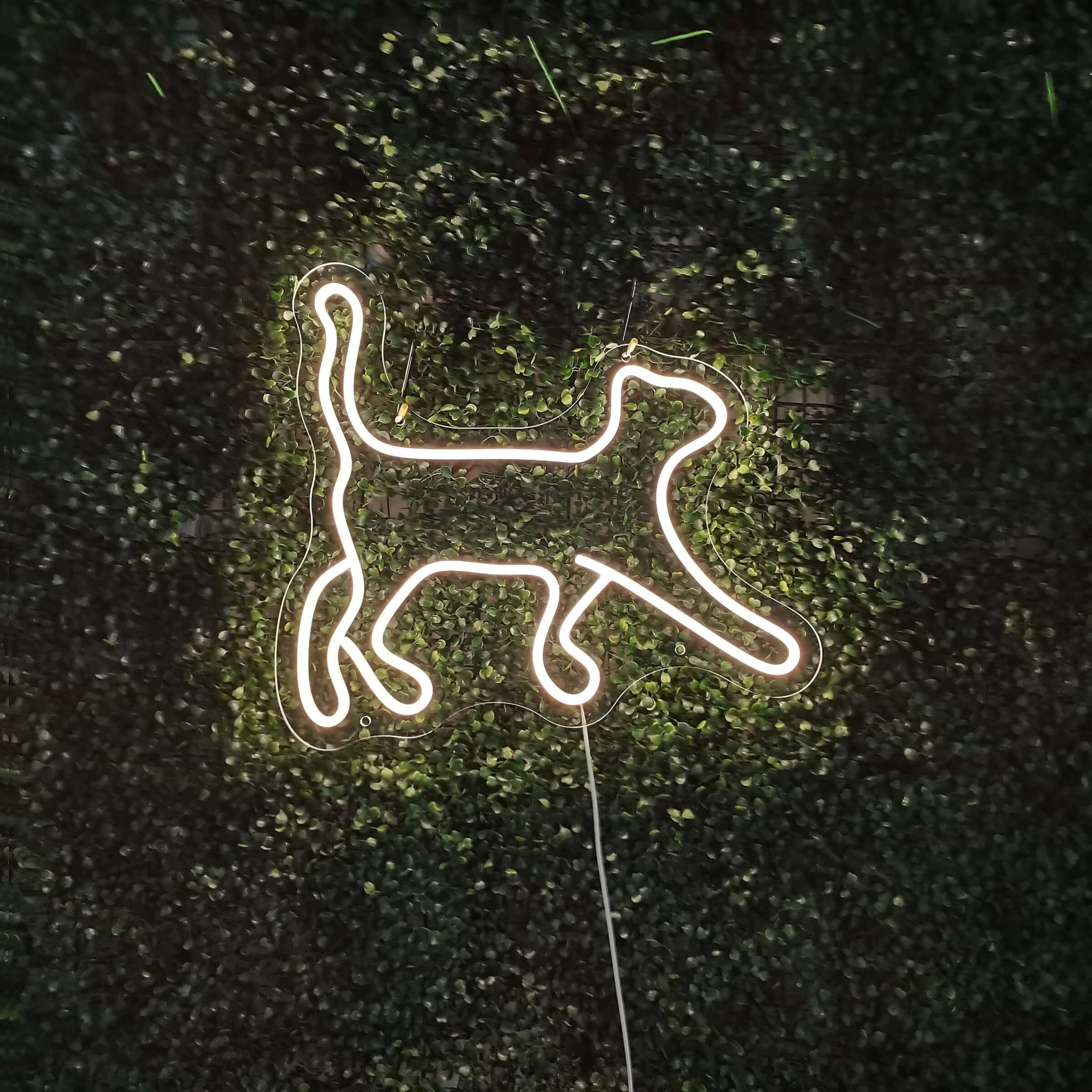 Kissan valokyltti - Art Neon