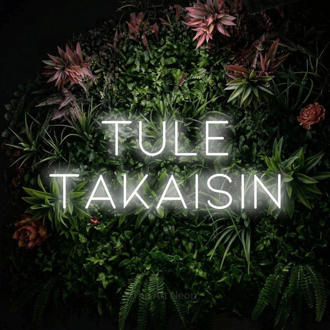 LED neon sign reading “TULE TAKAISIN”, arranged in 2 lines.