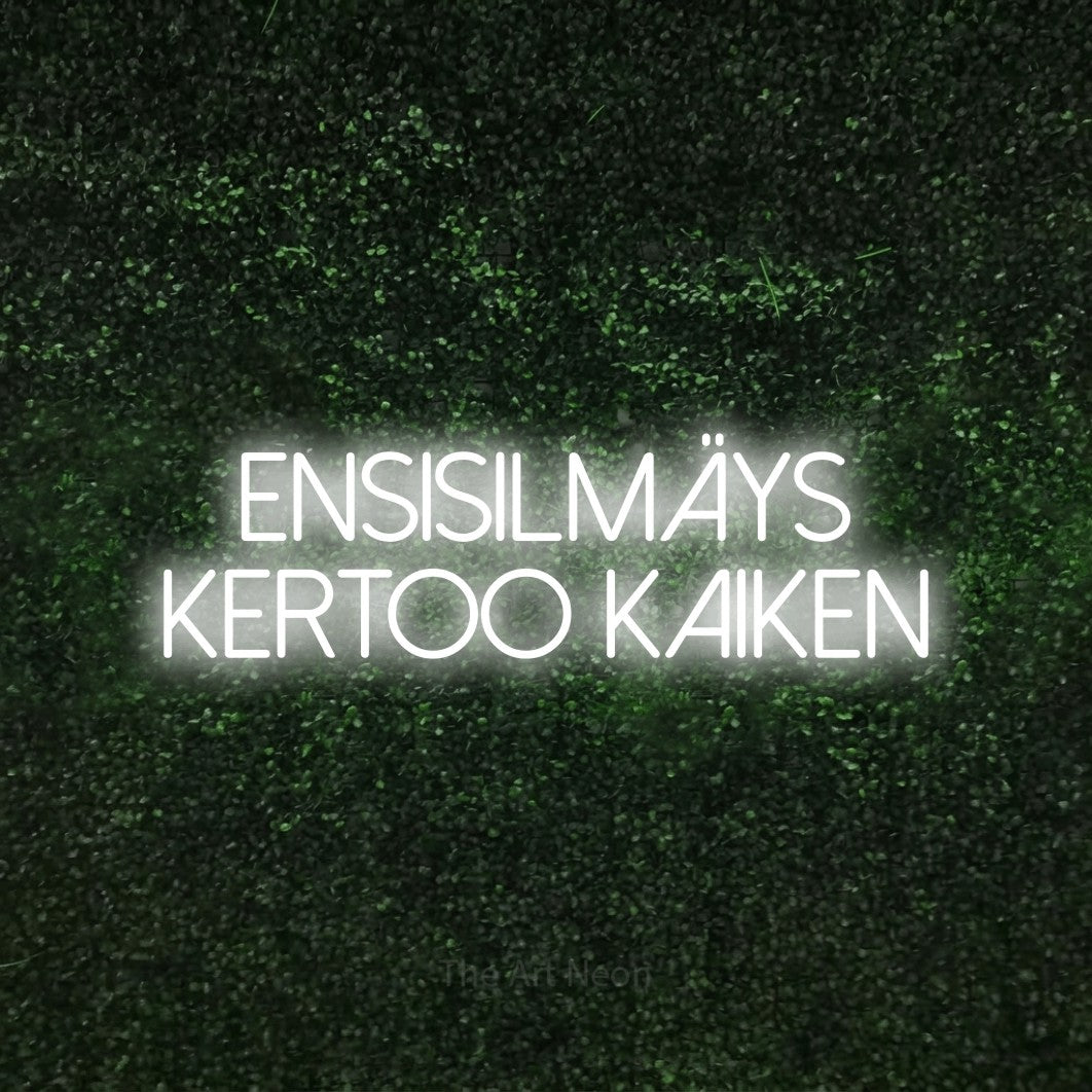 LED neon sign reading “Ensisilmäys kertoo kaiken”, arranged in 2 lines.