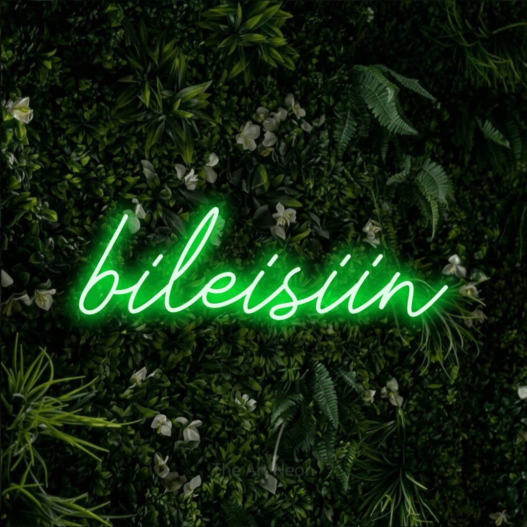LED neon sign reading “bileisiin”, arranged in a single line.