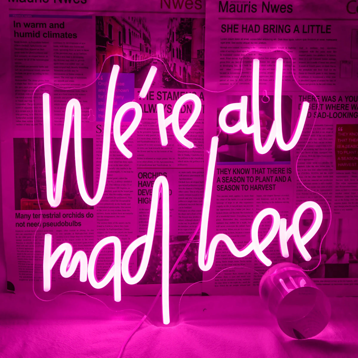 Hehkuva LED-valokyltti, jossa on sana "We're All Mad Here" hassulla, kursiivisella fontilla.