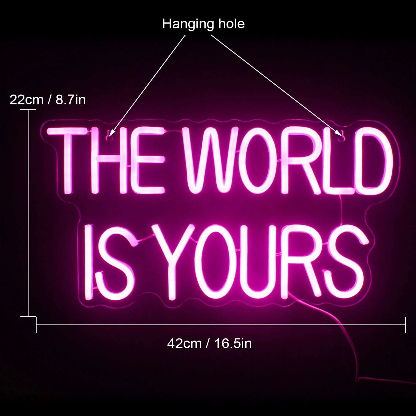 The World is Yours 5V Mini USB  LED Neon Sign - Budget Friendly