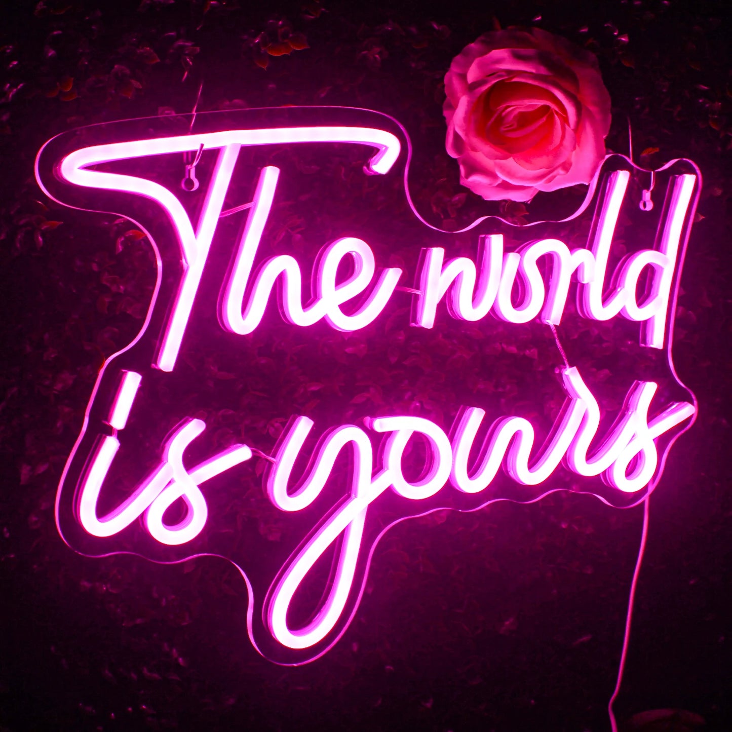 The World Is Yours 5V Mini USB LED Neon Sign - Budget Friendly