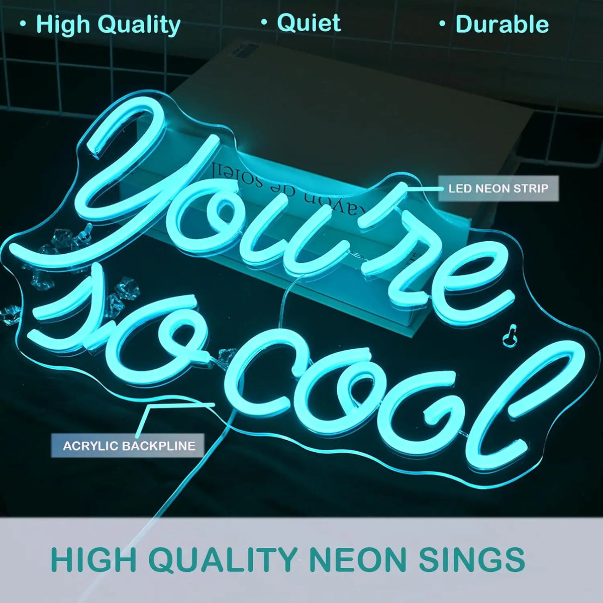 You're so cool – Jäänsiniset kirjaimet – LED-neonkyltti (5 V USB)