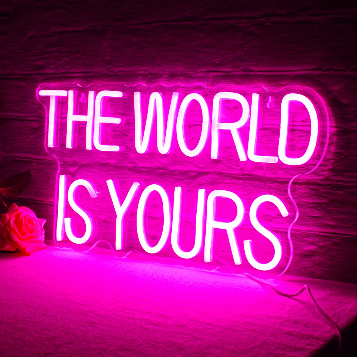 The World Is Yours 5V Mini USB LED Neon Sign - Budget Friendly