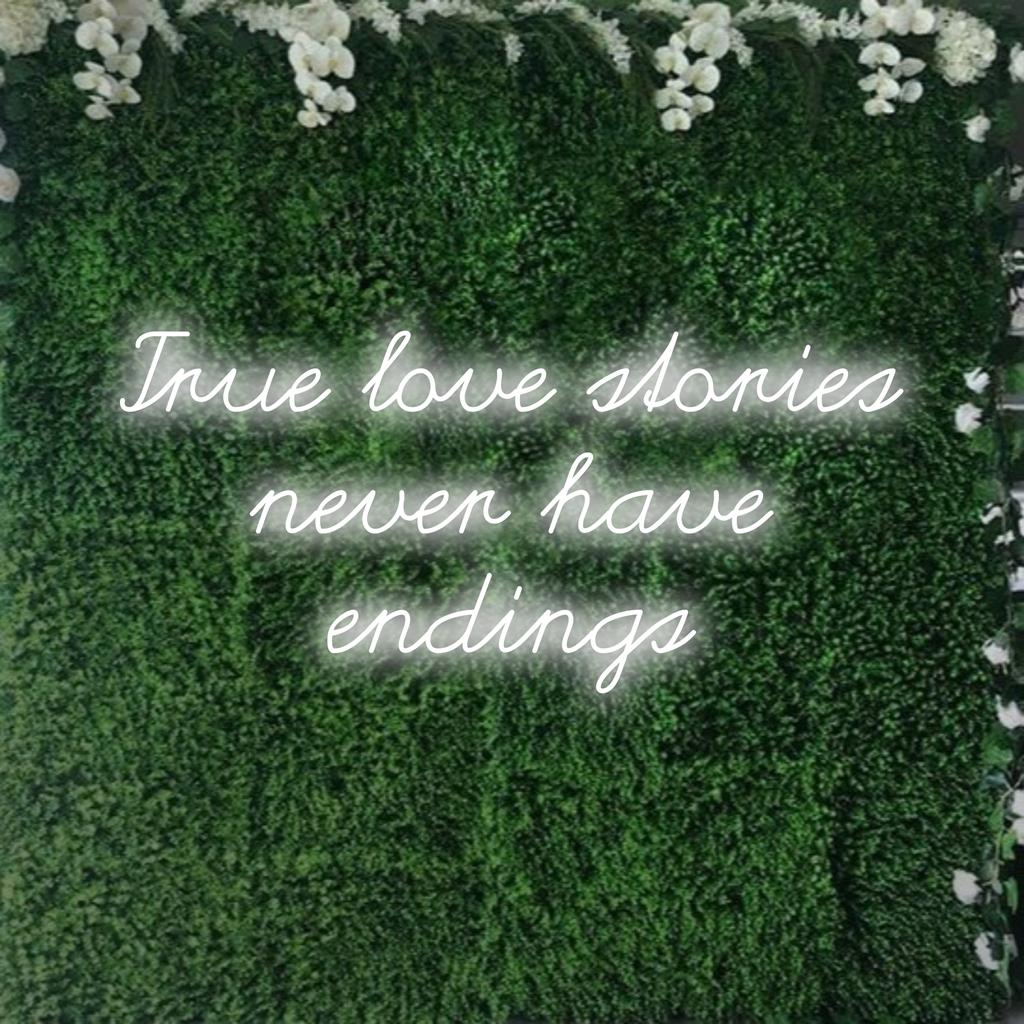 Eloisa LED-valokyltti, jossa lukee True Love Stories Never Have Endings, täydellinen persoonalliseen sisustukseen; silmiinpistävä neonvalo.