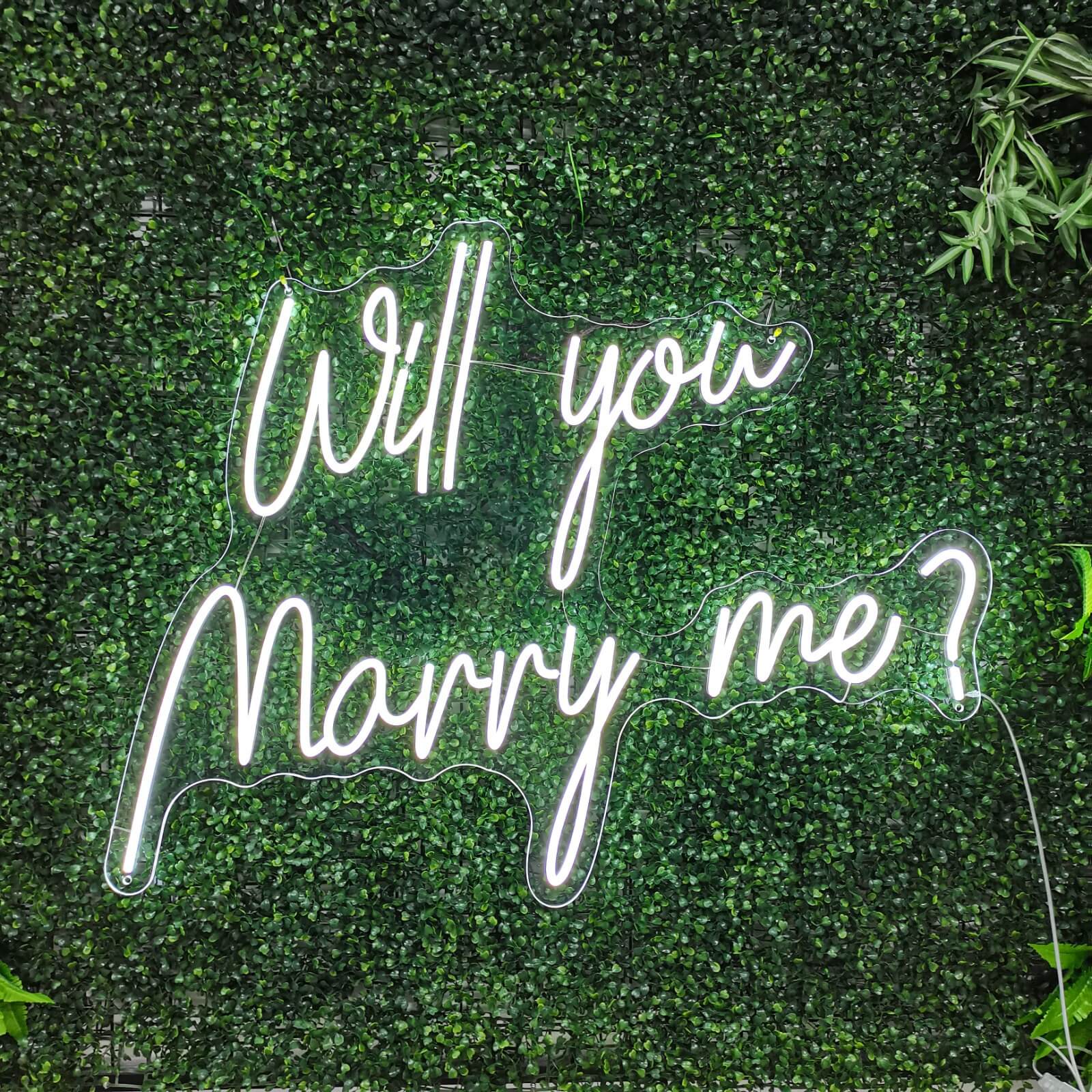 Vill Du Gifta Dig Med Mig? Neonskylt