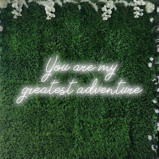 Räätälöity LED-valokyltti, jossa on lause You Are My Greatest Adventure, täydellinen yksilölliseen neon-sisustukseen.