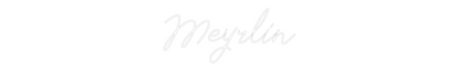 Enseigne au néon personnalisée : Meyrlin
