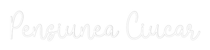Semn Neon Personalizat: Pensiunea Ciu...