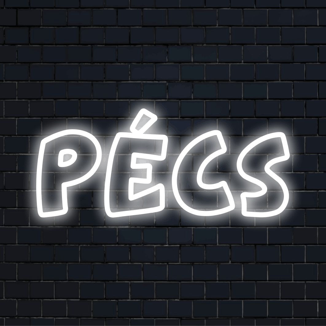P Cs Neon Sign, glowing lettering on black brick background