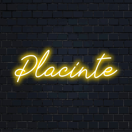 Placinte Neon Light with bright neon lettering against black brick wall