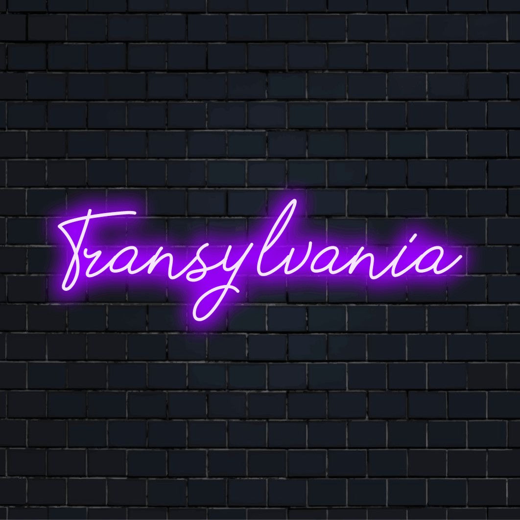 Transylvania Neon Sign, bright LED glow against brick backdrop