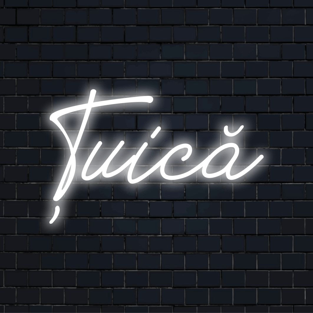 Uic Neon Light with bright neon lettering against brick backdrop